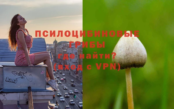 СК Абаза