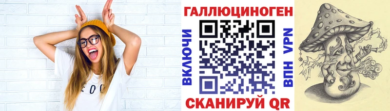 Псилоцибиновые грибы прущие грибы  как найти   Воронеж 